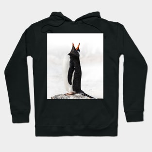 Call of the wild Hoodie